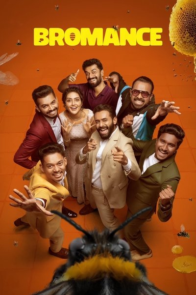 Poster for the movie Bromance