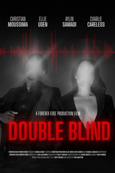 Poster do Filme Double Blind