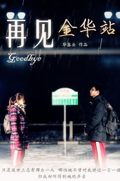 Poster do Filme 再见金华站