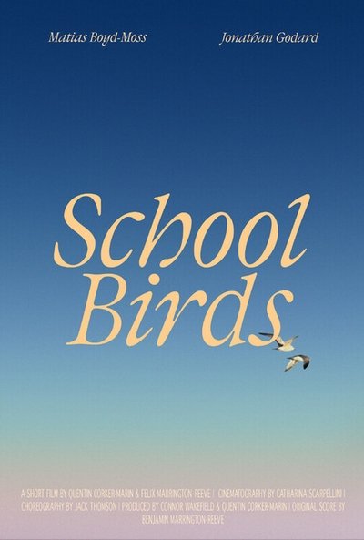 Poster do Filme School Birds