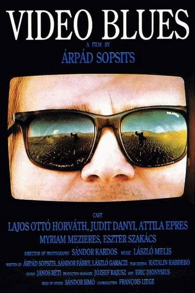 Poster do Filme Video Blues