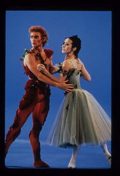 Poster do Filme To Dream Of Roses