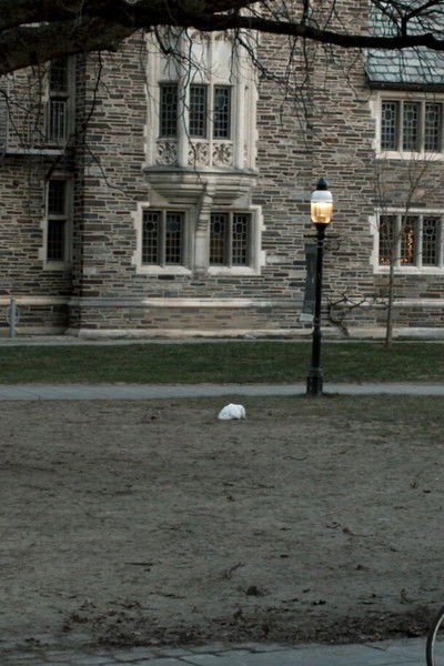 movie poster for transmetteur de feu