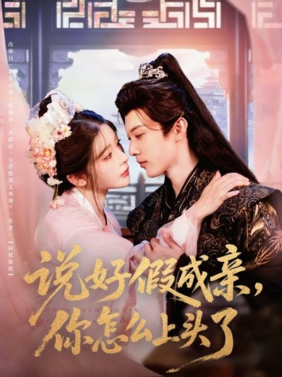 poster for 说好假成亲，你怎么上头了