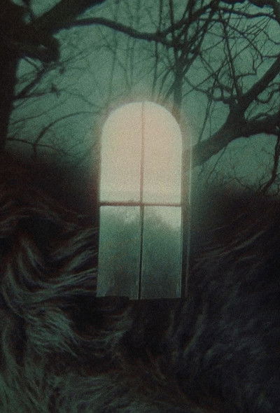 Poster do Filme Palm Sunday