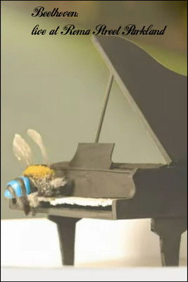 Poster do Filme Beethoven: live at Roma Street Parkland