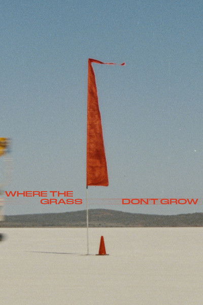 Poster do Filme Where the grass don't grow
