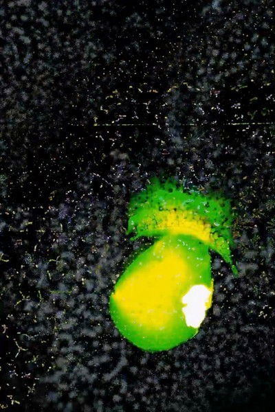 Poster do Filme Amulet