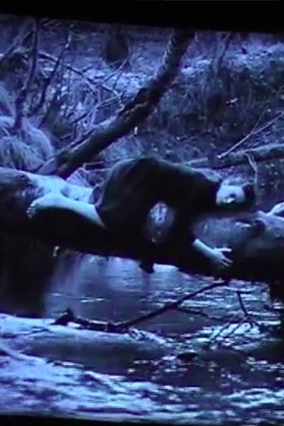 Poster do Filme Сумерки