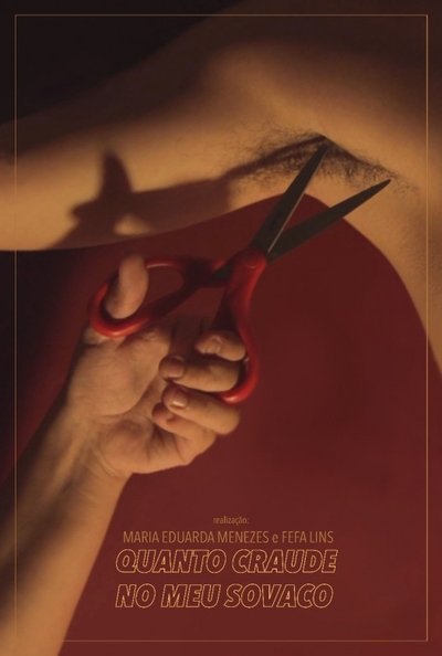 Poster do Filme Quanto Craude no Meu Sovaco