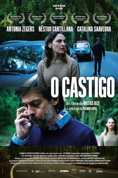 Poster do Filme O Castigo