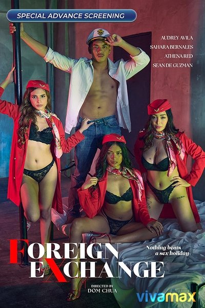 Poster do Filme Foreign Exchange