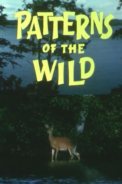 Poster do Filme Patterns Of The Wild