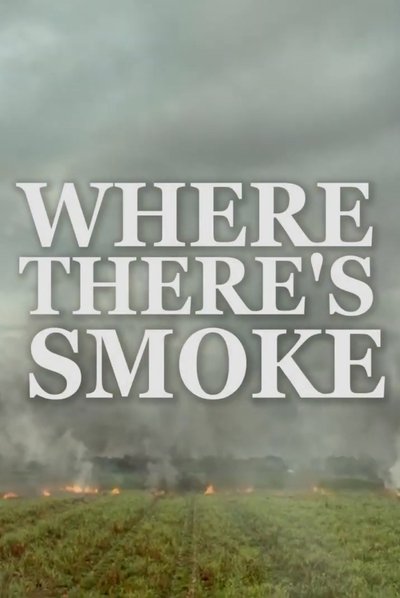 Poster do Filme Where There’s Smoke