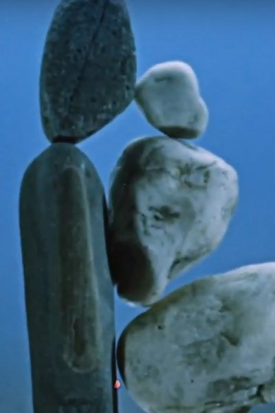 movie poster for Kámen a život