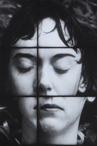 Poster do Filme A Temporary Arrangement