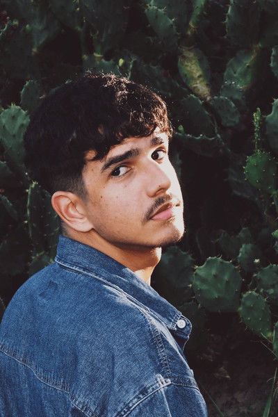 Imagem de Heron Condor