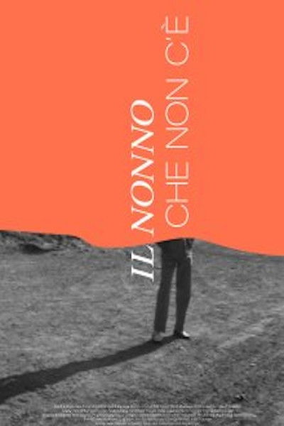 Poster do Filme Il nonno che non c'è