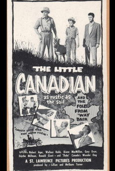 Poster do Filme The Little Canadian