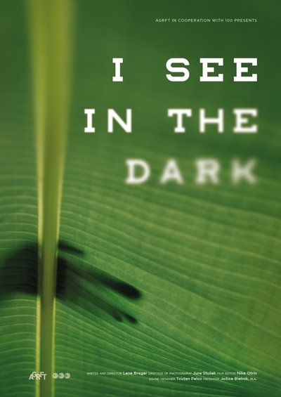 movie poster for I See in the Dark