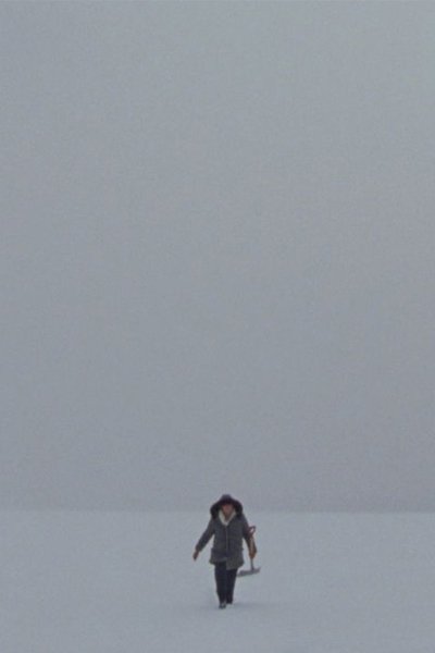 movie poster for Lake