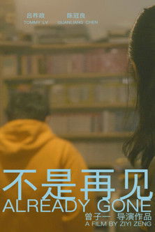 Poster do Filme 不是再见