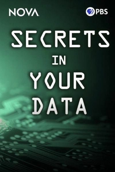 Poster do Filme Secrets in Your Data