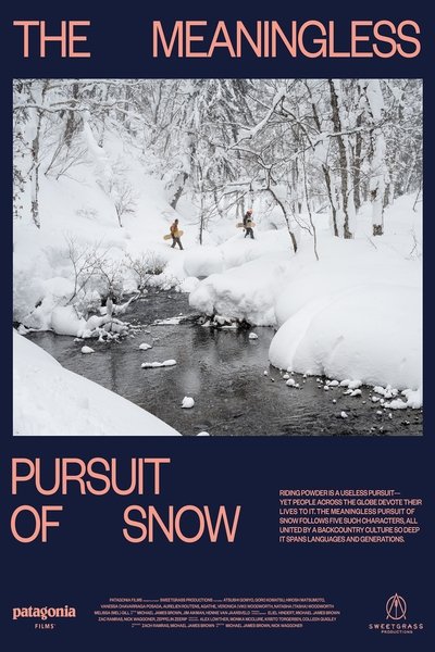 Poster do Filme The Meaningless Pursuit of Snow