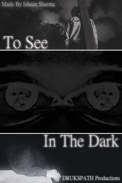 movie poster for To See In The Dark