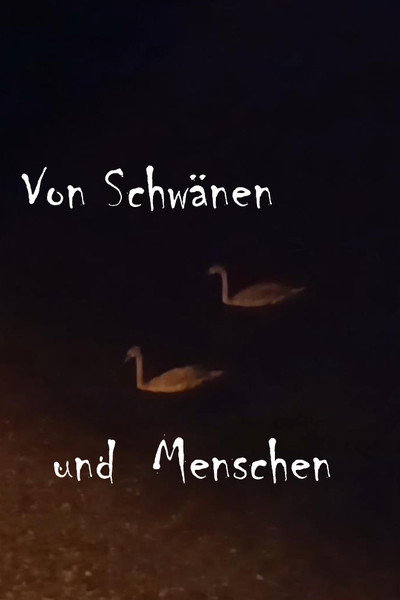 Poster do Filme Von Schwänen und Menschen
