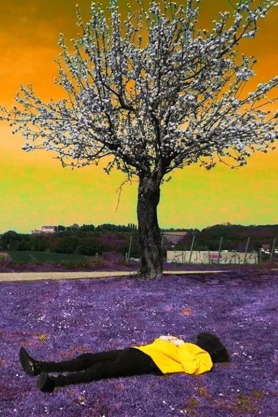 Poster do Filme Filmisches Selbstportrait