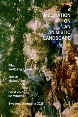 Poster do Filme A Meditation on a Animistic Landscape