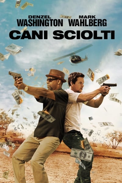 Cani sciolti (2013)