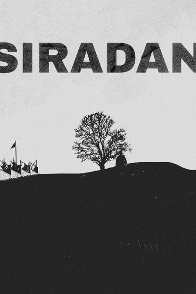 movie poster for Ordinary