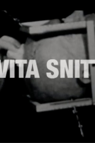 Det Vita Snittet