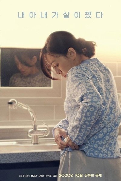 Poster for the movie My Wife has Gained Weight