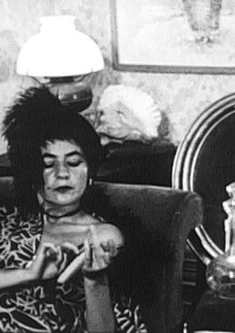 Poster do Filme A Day in the Life of a Cleaning Woman