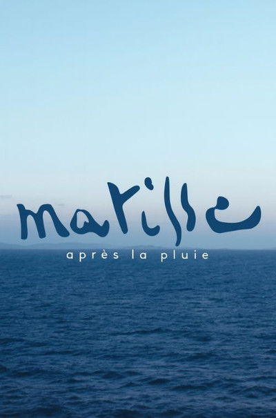 movie poster for Matisse après la pluie