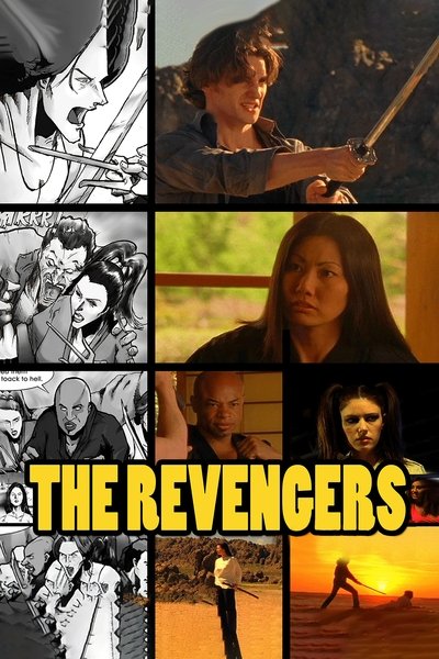 Poster do Filme The Revengers