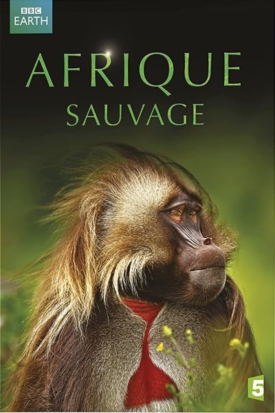 Poster do Filme Afrique Sauvage