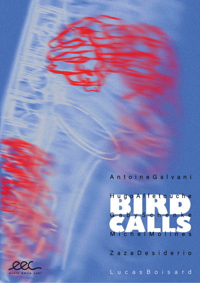 movie poster for Bird Calls