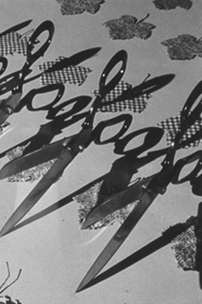 Poster do Filme Píseň podzimu