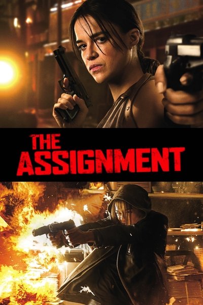 Poster for the movie The Assignment