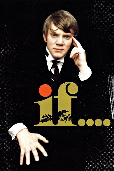 Poster for the movie if....
