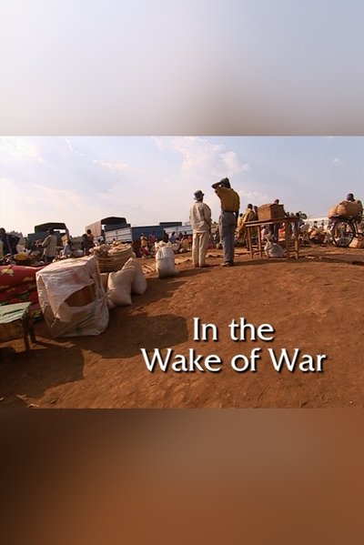 Poster do Filme In the Wake of War