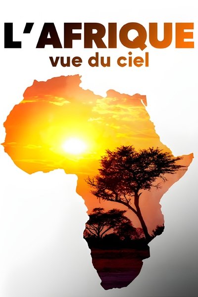 poster for L'Afrique vue du ciel