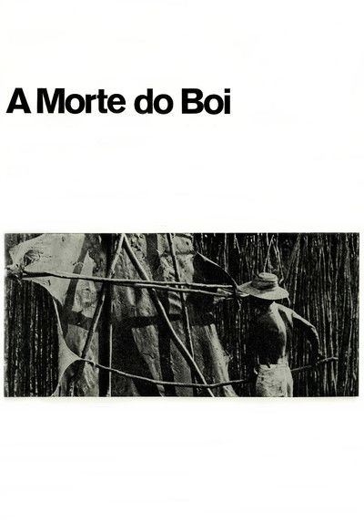 Poster do Filme A Morte do Boi