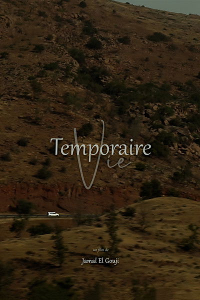 movie poster for Temporaire Vie