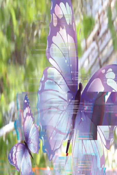 Poster do Filme sacha_butterfly_hypno_reconstruction1.mp4