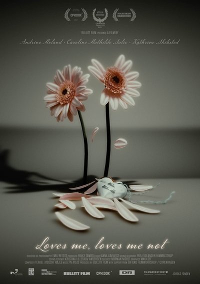 Poster do Filme Elsker, elsker ikke